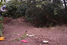 Ôm con nhảy giếng tự tử vì mâu thuẫn với mẹ chồng