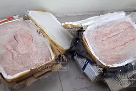 Phát hiện gần 1 tấn nầm động vật đang phân hủy đưa đi tiêu thụ