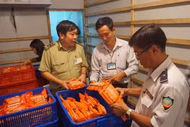 Vụ kiểm tra xúc xích Vietfoods: Cán bộ quản lý thị trường có thiếu sót