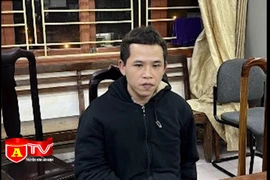 Truy xét bắt giữ đối tượng cướp giật tài sản 