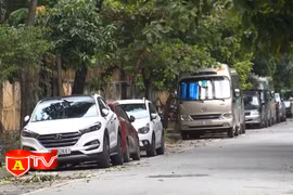 Phòng ngừa tội phạm trộm cắp tài sản trong xe ô tô