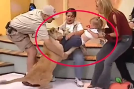 Rùng mình cảnh sư tử vồ bé gái được truyền hình trực tiếp