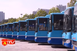 Kiến nghị khẩn thiết cho xe buýt hoạt động trở lại 