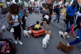 Hà Nội: Ăn mặc lịch sự, không nói tục, không dắt, thả vật nuôi ở phố đi bộ hồ Hoàn Kiếm