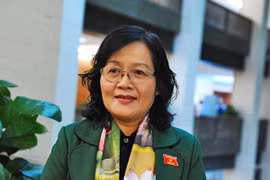 Không nên cho phép lưu hành ô tô điện 