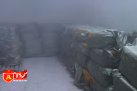 Tiêu hủy 7 tấn nầm lợn không rõ nguồn gốc xuất xứ