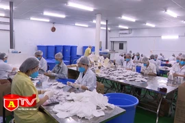 Doanh nghiệp phục hồi phát triển kinh tế trong tình hình mới