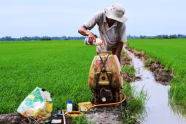 Chi hơn 20 tỷ đồng mỗi ngày để nhập thuốc trừ sâu từ Trung Quốc