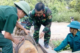 San ủi vườn, phát hiện quả bom nặng 340kg