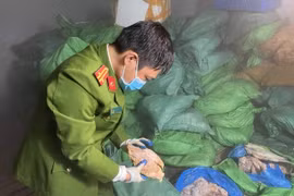 Phát hiện gần chục tấn sụn gà, nội tạng động vật không rõ nguồn gốc