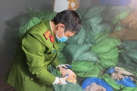 Phát hiện gần chục tấn sụn gà, nội tạng động vật không rõ nguồn gốc