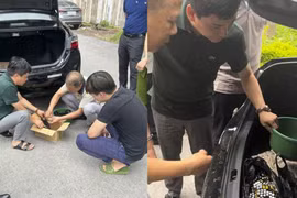 Phát hiện đối tượng vận chuyển số lượng mật gấu “khủng”