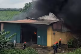  Không chấp hành quyết định đình chỉ, Công ty TNHH xây dựng vật liệu mới Hoàng Thành để xảy cháy lớn