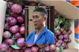 Tử hình đối tượng giấu 4 bánh heroin vào thùng mận