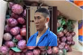 Tử hình đối tượng giấu 4 bánh heroin vào thùng mận