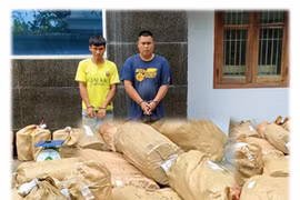 Hai anh em cất giấu hơn 700 kg pháo nổ