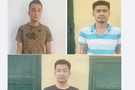 Bắt nhóm đối tượng trộm cắp ô tô