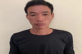 Đối tượng cướp giật tài sản đã bị bắt