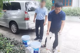 Bị bắt khi đang trên đường vận chuyển 10 kg rắn hổ chúa