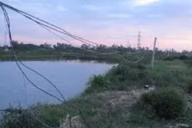 Tạm giữ hình sự đối tượng giăng lưới điện bẫy chuột làm chết người