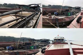 Đi săn “vòi bạch tuộc” dưới lòng sông