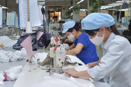 Cơ hội làm giàu từ hiệp định xuyên Thái Bình Dương đang bị bỏ phí