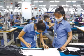 Phối hợp nhuần nhuyễn chống dịch, không gây khó người dân, doanh nghiệp 