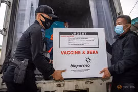 Chiến lược tiêm chủng Covid-19 của Indonesia: Ưu tiên độ tuổi lao động 