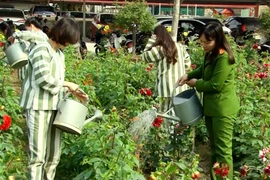 Khơi mầm thiện cho những cuộc đời lầm lỗi 