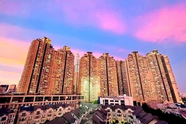 Sài Gòn của tôi khỏe nhanh và thật vững vàng nhé! 