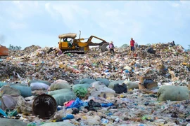 Sửa đổi một số mức phạt vi phạm về môi trường 