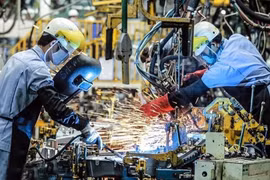 Việt Nam là một trong số ít các nước có nền kinh tế phát triển trong bối cảnh dịch Covid-19
