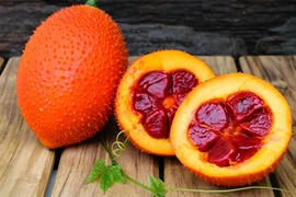 Gấc và những món ăn đến từ… “thiên đường”