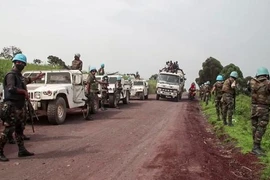 Đại sứ Italia tại Congo có thể bị ám sát trong vụ bắt cóc bất thành