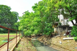 Giữ lại dòng chảy lịch sử văn hóa các con sông định danh cho Hà Nội (4): Hà Nội còn gì nếu tất cả các dòng sông đều “chết”?