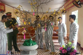 Nghị định: Quy định chi tiết thi hành một số điều của Luật Thi hành án hình sự 