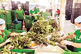 Giải thể dứt điểm các hợp tác xã không còn hoạt động 