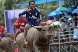 Hình tượng con trâu chăm chỉ, bền bỉ, no đủ và thịnh vượng