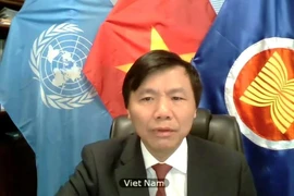 Việt Nam quan ngại về vấn đề sử dụng vũ lực trong luật pháp quốc tế