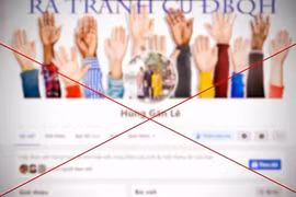 Chiêu trò núp bóng “tự ứng cử” để phá hoại bầu cử 