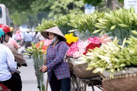 Tháng tư về, hoa loa kèn tinh khôi xuống phố