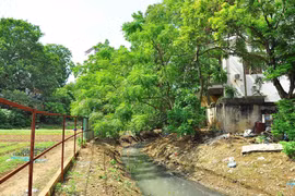 Giữ lại dòng chảy lịch sử văn hóa các con sông định danh cho Hà Nội (4): Hà Nội còn gì nếu tất cả các dòng sông đều “chết”?