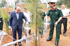 Chủ tịch nước dự Lễ phát động trồng cây “Đời đời nhớ ơn Bác Hồ” 