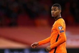 8 cầu thủ trẻ đáng chờ đợi nhất EURO 2020