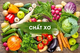 Dấu hiệu báo động cơ thể đang thừa chất xơ 