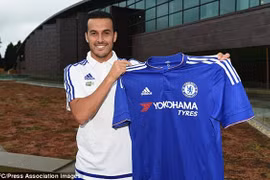 Pedro gia nhập Chelsea, cầu thủ Barcelona lo sốt vó