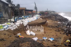 Triều cường “nuốt chửng” hơn 100m đường và kè rọ đá, đe doạ nhà dân
