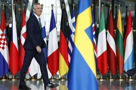 Tổng thư ký NATO: Hiện không nhận thấy mối đe dọa quân sự từ Nga