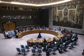 Nga, Trung Quốc phủ quyết dự thảo nghị quyết HĐBA về Gaza do Mỹ khởi xướng