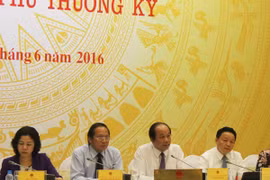 Đã xác định được nguyên nhân cá chết hàng loạt ven biển miền Trung